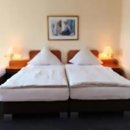 Hotel Am Park 3*